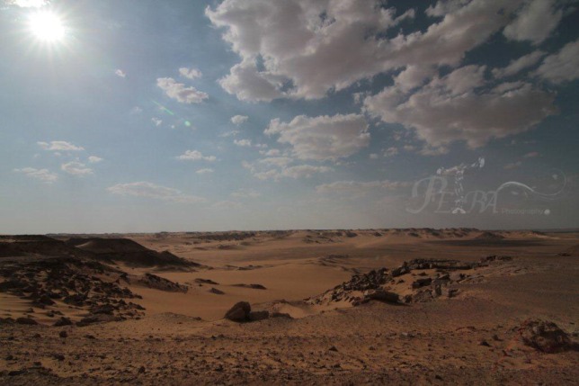 Sahara's sun