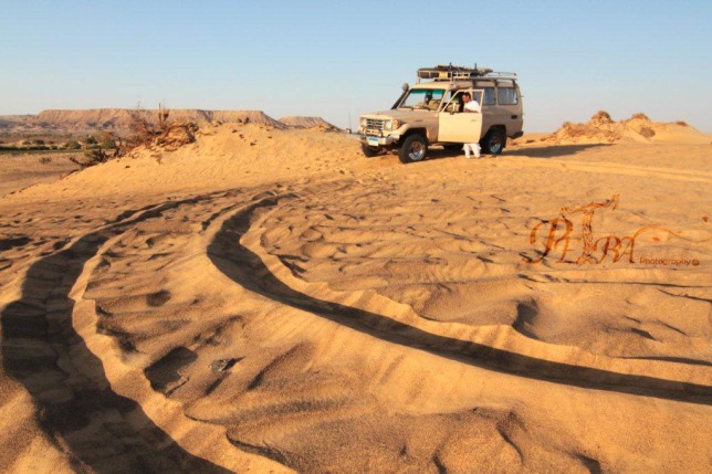 Car in dunes